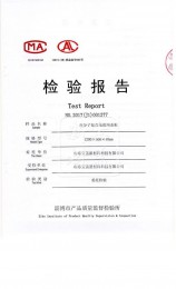檢測報(bào)告2