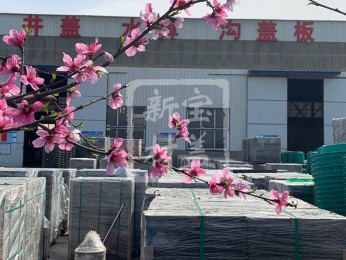 花滿枝頭，春意盎然